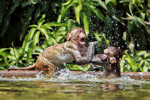 Heatwave in New Delhi